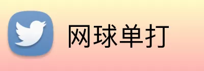 网球单打 Logo